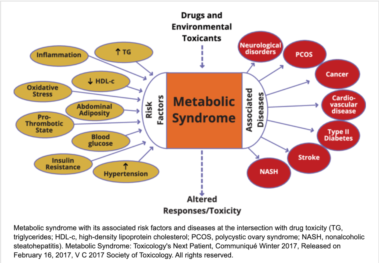 metabolic-disease-overview-robert-lufkin-md