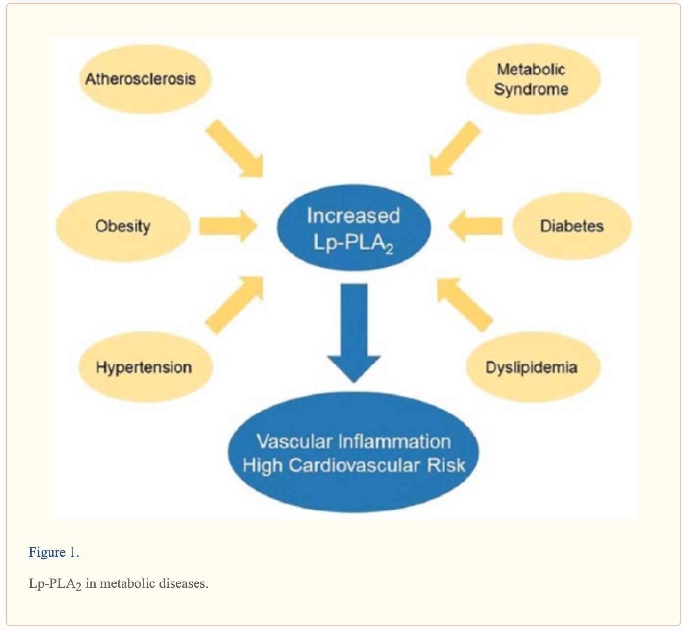 De Stefano, Alessandro, Liliana Mannucci, Federica Tamburi, Carmine Cardillo, Francesca Schinzari, Valentina Rovella, Steven Nisticò, Luigi Bennardo, Nicola Di Daniele, and Manfredi Tesauro. “Lp-PLA 2 , a New Biomarker of Vascular Disorders in Metabolic Diseases.”  International Journal of Immunopathology and Pharmacology  33 (January 2019): 205873841982715.  https://doi.org/10.1177/2058738419827154 .