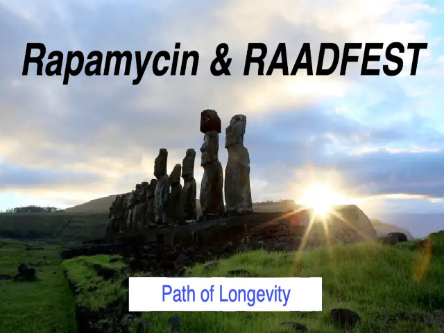 Rapamycin and RAADFEST 2023